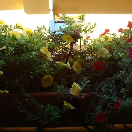 Country house Casa Rural Piedrahita *