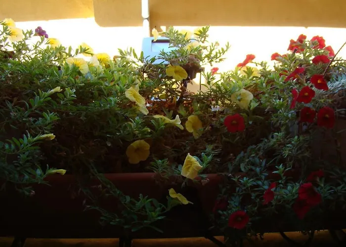 Landhuis Casa Rural Piedrahita *